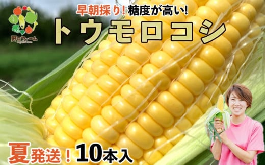 【令和8年産】早朝採りトウモロコシ10本セット ◆配送6月下旬〜7月頃兵庫県南あわじ市12000野菜・きのことうもろこし