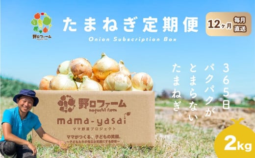 【12回定期便】mama-yasai たまねぎ2kg兵庫県南あわじ市56000野菜・きのこ玉ねぎ・ねぎ