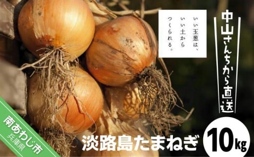 中山さんちから直送 淡路島たまねぎ10s兵庫県南あわじ市11000野菜・きのこ玉ねぎ・ねぎ