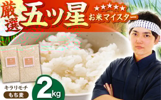 yv`v`̂zL` 2kg ( 1kg×2 ) y˕čXz [HBL017]  G G   ꍲꌧ]k6000āEpāEGāEāE