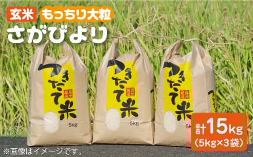 y͂zߘa4NY  т 15kg ( 5kg×3 ) yx_z[HAH001]ꌧ]k17000āEpāEGāEāE