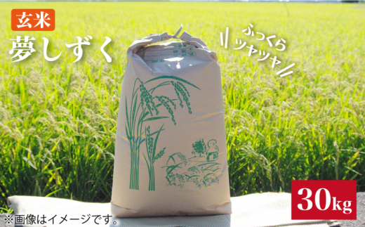 y͂zߘa4NY   30kgyx_z [HAH004]ꌧ]k30000āEpāEGāEāE