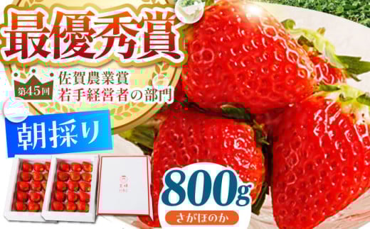 y_0ւ̒zy1`2zl̂ ق̂ 800g ( 400g×2 )yނ炨_z [HAF010]ꌧ]k17000ʕEt[c