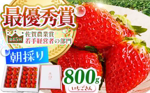 y_0ւ̒zy1`2zl̂  800g ( 400g×2 )yނ炨_z [HAF009]ꌧ]k19000ʕEt[c