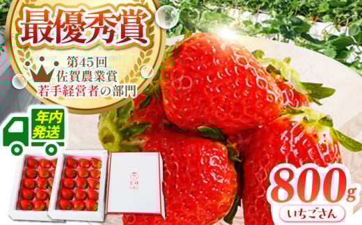 y_0ւ̒zy12zl̂  800g ( 400g×2 )yނ炨_z [HAF001] Nꌧ]k20000ʕEt[c