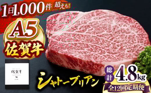yS12ցzꋍ Vg[uA 400g ( 200g×2 ) yRɁz [HAD071]q qXe[L ؂ 󏭕 tB A5  Mtg j ꌧ]k700000