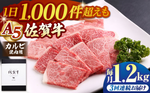 yS3ցzꋍ Jr 400g ( ēp ) yRɁz [HAD094]   ē A5 јa  Mtg Lv BBQ 3 3  a5ꌧ]k54000