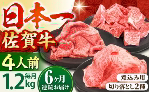 yS6ցz4lƑ ꋍ igZbgA ( ؂藎ƂEp؂ ) yc{YXz [HBH036]ꌧ]k204000