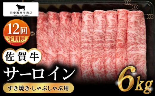yS12ցzꋍ T[C XCX 500gyc{YXz [HBH020]ꌧ]k384000