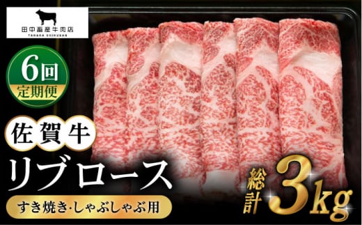 yS6ցzꋍ u[X XCX 500gyc{YXz [HBH016]ꌧ]k162000