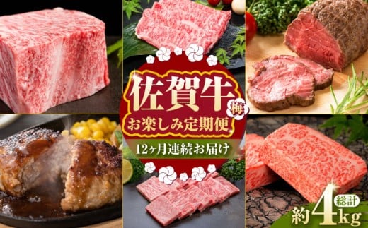 yS12ցz͂Iꋍ yݒ~yTrade com 8z [HBO004] јa  ꌧ]k228000