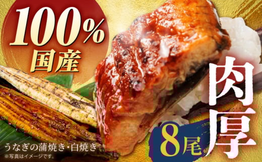 yґZbgzYȂ8Zbg ( Ă4AĂ4 ) yz [HBV011]ꌧ]k100000ECYȂ