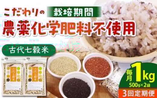 yS3ցzÑ㎵ 1kg ( 500g×2Zbg ) ỷƁz[HAG008]  G G Ñ 茺    qG A ꍲꌧ]k51000āEpāEGāEāE
