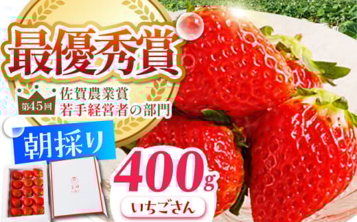 y_0ւ̒zy1`2zl̂  400g 1yނ炨_z [HAF013] ʕ t[c   C`S ꌧ ]kꌧ]k10000ʕEt[c