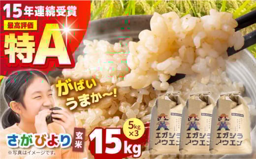 ys\zߘa6NY ΂܂GKVCX ( т ) 15kg ( 5kg×3 ) y]_z [HAU001] /    ꌧY A] A т荲ꌧ]k20000āEpāE