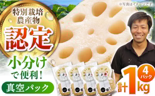 ys\zyʍ͔|_Y Fzn]kY 񂱂pbN 1kg ( 250g×4 ) ySʁz [HAE013]ꌧ]k6000؁Ê卪EjWEؗ