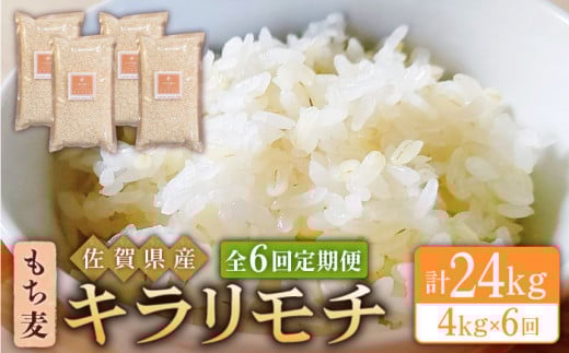 yS6ցz L` 4kg ( 1kg×4 ) y˕čXz [HBL040]   G G   ꍲꌧ]k72000āEpāEGāEāE