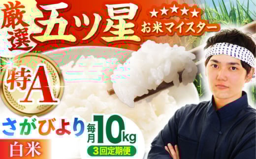 yS3ցzт  10kg ( 5kg×2 ) y܂ă}CX^[Iz [HBL041]A] A  uh     3 3ꌧ]k120000āEp