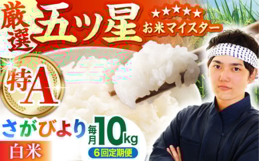 yS6ցzт  10kg ( 5kg×2 ) y܂ă}CX^[Iz [HBL042]A] A  uh    6 6 ꌧ]k240000āEp