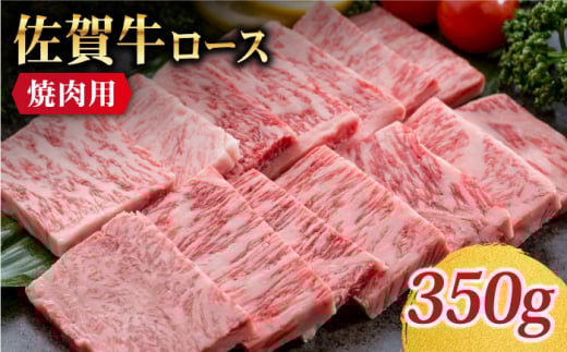 yŐHzꋍ [X ēp 350gyTrade com 8z [HBO009]ꌧ]k20000