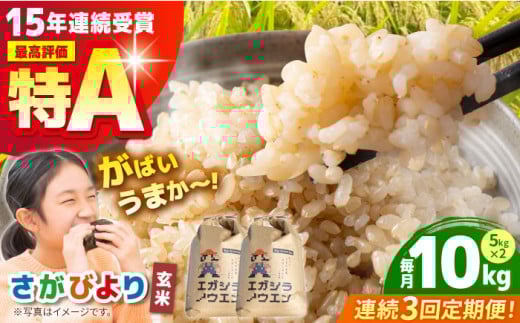 yS3ցz΂܂ GKVCX ( т )  10kg ( 5kg×2 ) y]_z [HAU006]ꌧ]k45000āEpāEGāEāE