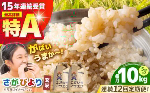 yS12ցz΂܂ GKVCX ( т )  10kg ( 5kg×2 ) y]_z [HAU008]ꌧ]k180000āEpāEGāEāE