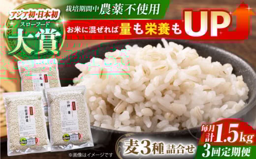 yS3ցz͔|Ԓ_sgp l 500g×3 (  艟 ۔ ) y_z[HAJ031]  G G ͂ 1 ʍ͔|_Y  H@ 500g  Hה Zbgꌧ