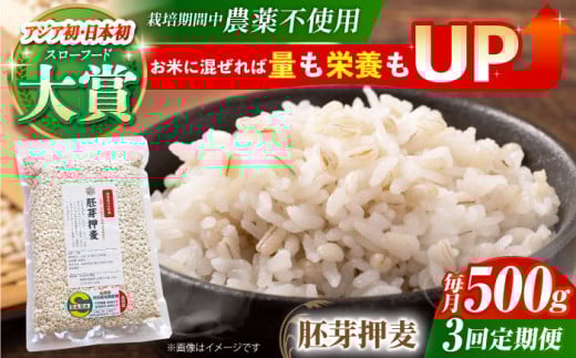 yS3ցz͔|Ԓ_sgp 艟 500g ( 1gp ) y_z[HAJ034]  G G ͂ 1 ʍ͔|_Y  H@ 500g эꌧ]k18000āEpāEG