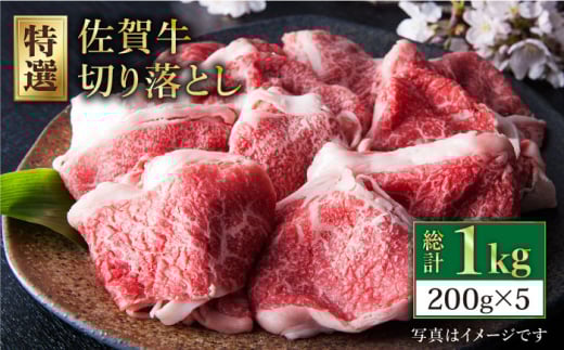 y֗ȏzꋍ ؂藎Ƃ 1kg  ( 200g×5pbN ) y̎Ohz [HAA079] /    ؂藎Ƃ  ؂藎Ƃꌧ]k25000