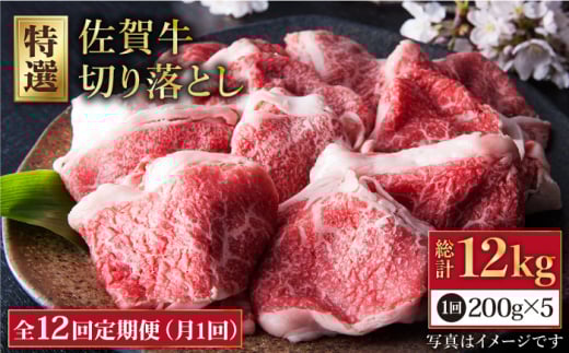 yS12ցzꋍ ؂藎Ƃ 1kg  ( 200g×5pbN ) y̎Ohz [HAA082] ꋍ ؂藎Ƃ  Ef o    јa ꍲꌧ]k300000