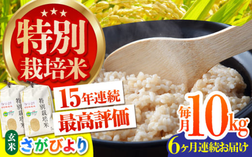 yS6ցzʍ͔| т  10kgỷƁz[HAG020]ꌧ]k144000āEp