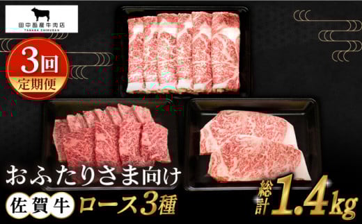 yS3ցzӂ肳܌ ꋍ [X ցyc{YXz [HBH078]ꌧ]k80000