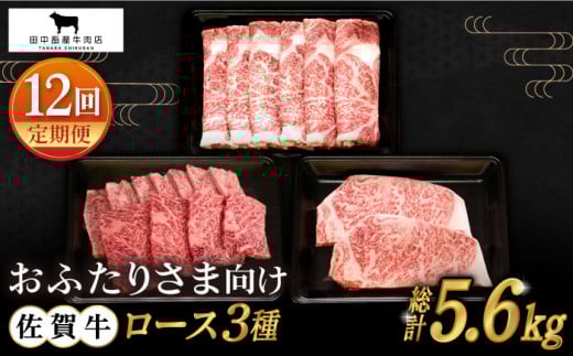 yS12ցzӂ肳܌ ꋍ [X ցyc{YXz [HBH080]ꌧ]k320000