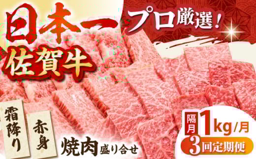 yS3ցzyuzꋍ ēZbg 1.0kg ( ~EԐg e500g ) yc{YXz [HBH122]ꌧ]k132000