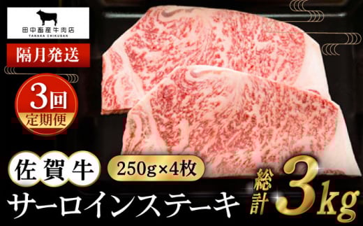 yS3ցzyuzꋍ T[CXe[L 1.0kg ( 250g×4 ) yc{YXz [HBH126]ꌧ]k200000