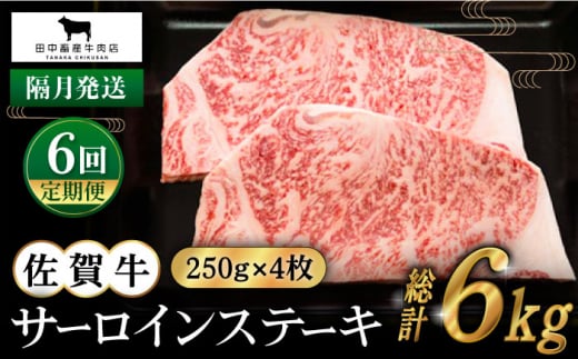 yS6ցzyuzꋍ T[CXe[L 1.0kg ( 250g×4 ) yc{YXz [HBH127]ꌧ]k400000