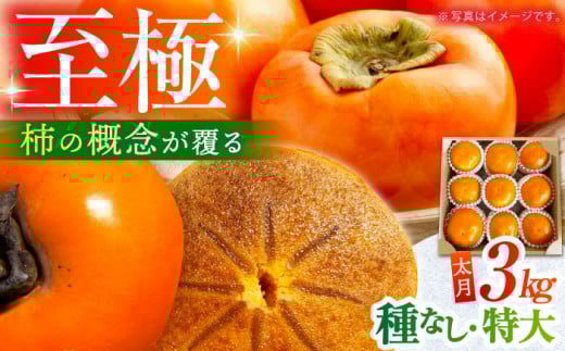 y10{`11{zȂ` Ea` 3kgyє_z [HAX001] ` ʕ t[c ꌧ ]kꌧ]k19000ʕEt[c̑ ʕEt[c