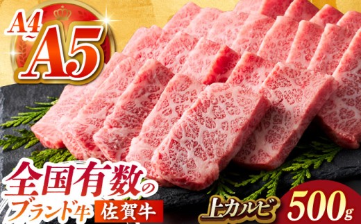 ySL̃uhzꋍ Jr 500y΂t[Yz [HCS006]ꌧ]k20000