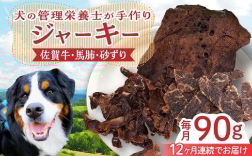 yǗh{m萻zS12ցW[L[Zbgiꋍ,nx,jy΂t[Yz [HCS010]ꌧ]k144000̑ 