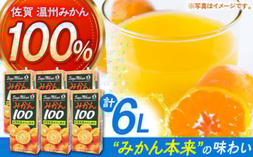 yꌧYB݂gpzlC㏸I݂100@1L×6{yJA nxz [HAM039]݂ ݂W[X ~J  ݂ ʏ`100% ZkҌꌧ]k9000Eʏ`