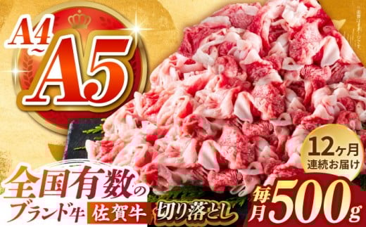 【様々な料理に使いやすい】<全12回定期便>佐賀牛切り落とし 500g【がばいフーズ】佐賀牛 A5 牛丼 切落とし 切り落し 牛肉 和牛 黒毛和牛 小分け 冷凍 きりおとし 佐賀  12ヶ月 12回 定期 [HCS