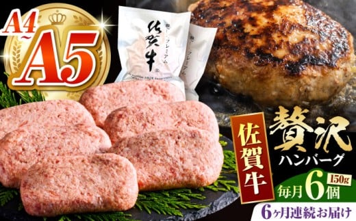 yƈo`ŁzS6ցꋍno[O 150g×6y΂t[Yz [HCS036]ꌧ]k72000HinE\[Z[Wj