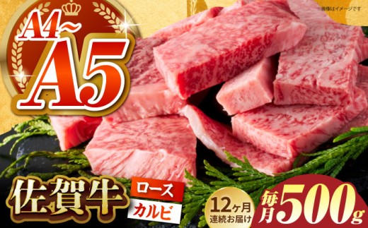 y낢ȕʂy߂āAHׂQIzS12ցꋍ ͂ 500gi[X Jrjy΂t[Yz [HCS043]ꌧ]k168000