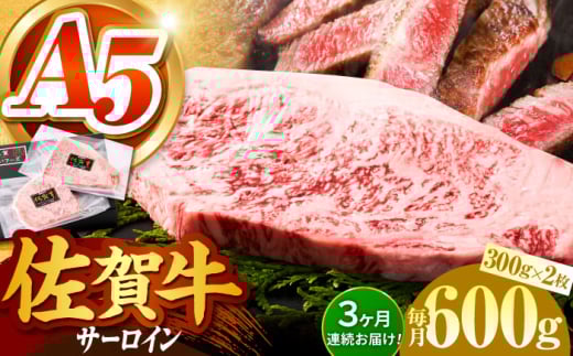 ySL̃uhzS6ցꋍ T[CXe[L v600gi300g×2pbNjy΂t[YzA5N ꋍ  T[C Xe[L A5 ꋍ [HCS057]ꌧ]k204000