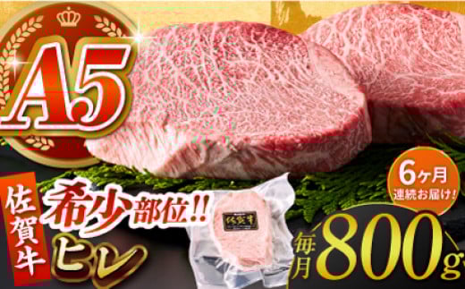 yS6ցzꋍqXe[L v800gi200g×4pbNjy΂t[Yz [HCS069]ꌧ]k600000