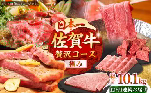 y2x̔_ѐYb܁zyS12ցzꋍ ґR[Xɂ݁yc{YXz јa  q Xe[L XCX ē Y  [HBH135]ꌧ]k500000