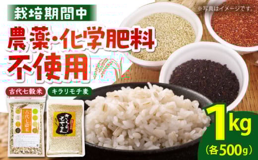 y炾ԂЂƂƂzÑ㎵āEL`Zbgie500gjiỷƁzG G   [HAG035]ꌧ]k12000āEpāEGāEāE