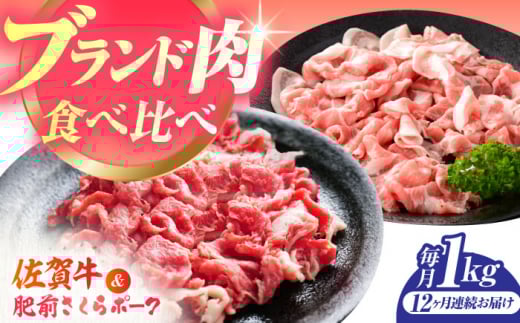 yS12ցz̓ igZbgiꋍEO|[Nj yJA nxz ؓ Ԃ  [HAM081]ꌧ]k216000