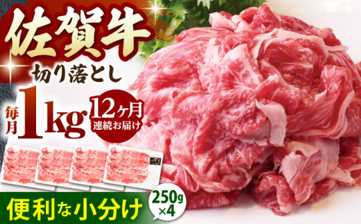 yS12ցzꋍ ؂藎Ƃ 1kg ( 250g×4pbN )yRɁz [HAD155]  ^pbN јa  aꌧ]k240000