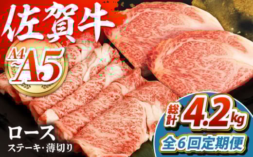 yS6ցzꋍ [XXe[LE؂Zbg@ygˁz [HCW013]ꌧ]k186000